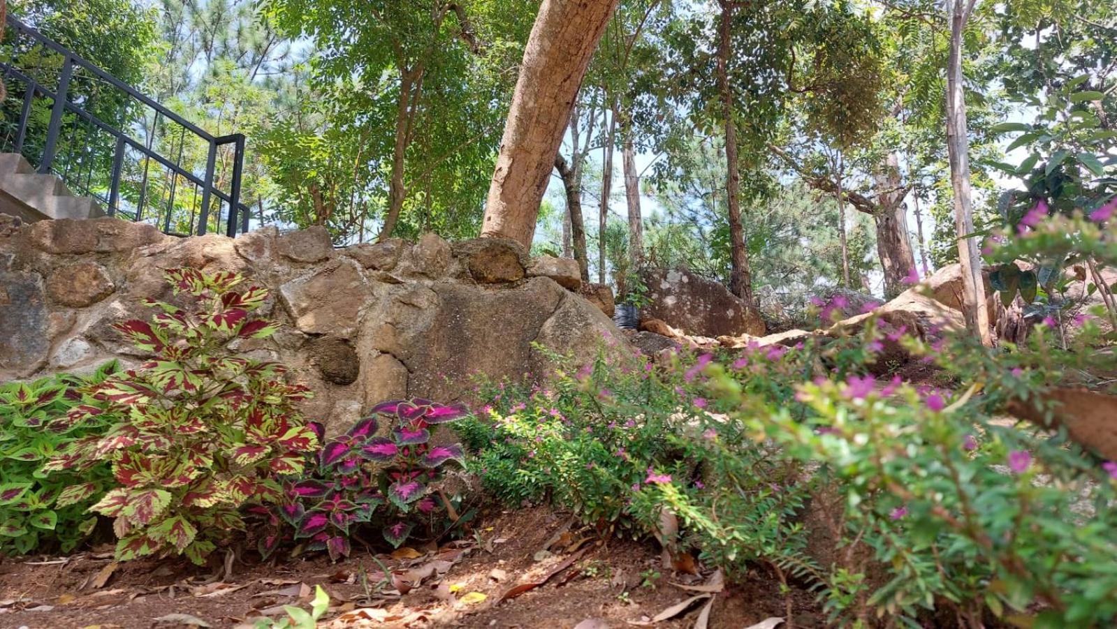 Rock N Fall Nature Resort Ella Exterior foto